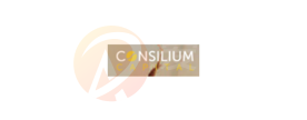 Consilium
