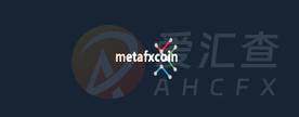 Metafxcoin