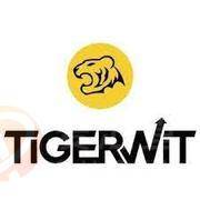 TigerWit · 老虎外汇