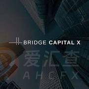 Bridge Capital X