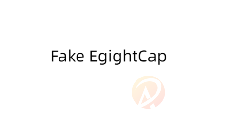 Fake EgightCap · 假冒EgightCap易汇