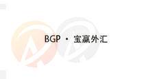 BGP · 宝赢外汇