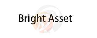 Bright Asset