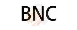 BNC