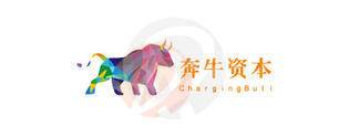 Charging Bull · 奔牛资本