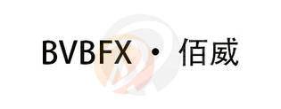 BVBFX · 佰威