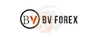 BV FOREX