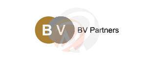 BV Partners