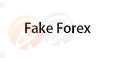 Fake Forex