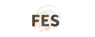 FES