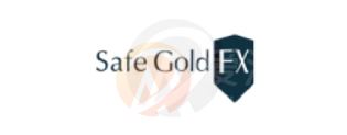 SafeGold FX · 鼎展国际