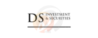 DS investment Limited