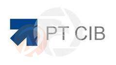 PT CIB